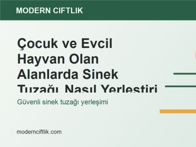 Çocuk ve Evcil Hayvan Olan Alanlarda Sinek Tuzağı Nasıl Yerleştirilir?