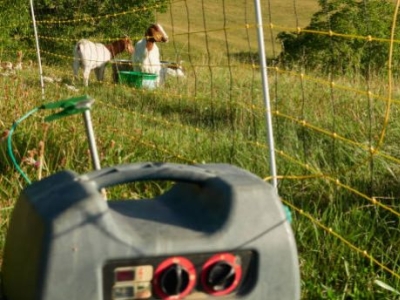 Elektrikli Çit Paketi Seçerken Nelere Bakılmalı?