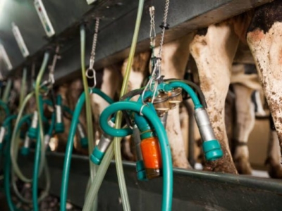 Milking Machine Maintenance: Small Parts That Matter