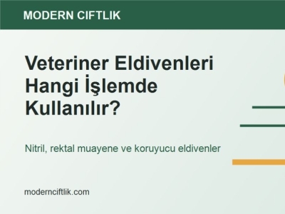 Veteriner Eldivenleri Hangi İşlemde Kullanılır?