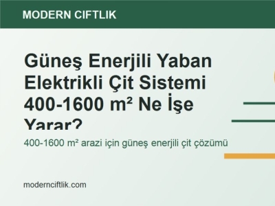 Güneş Enerjili Yaban Elektrikli Çit Sistemi 400-1600 m² Ne İşe Yarar?