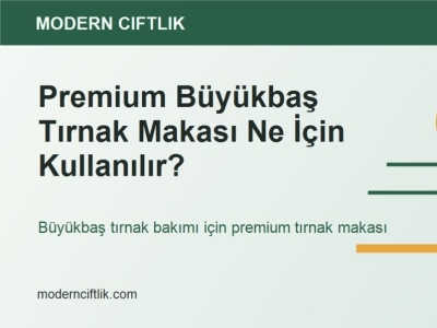 Premium Büyükbaş Tırnak Makası Ne İçin Kullanılır?