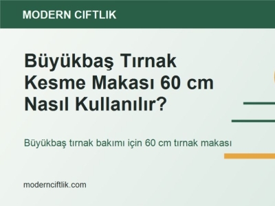 Büyükbaş Tırnak Kesme Makası 60 cm Nasıl Kullanılır?
