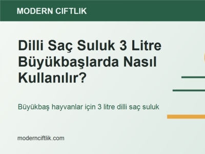 Dilli Saç Suluk 3 Litre Büyükbaşlarda Nasıl Kullanılır?