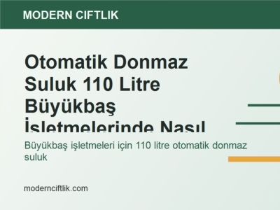 Otomatik Donmaz Suluk 110 Litre Büyükbaş İşletmelerinde Nasıl Kullanılır?