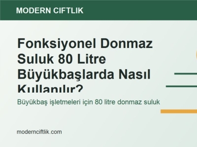 Fonksiyonel Donmaz Suluk 80 Litre Büyükbaşlarda Nasıl Kullanılır?