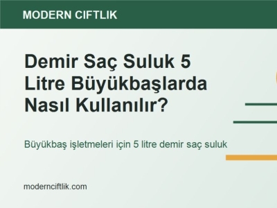Demir Saç Suluk 5 Litre Büyükbaşlarda Nasıl Kullanılır?
