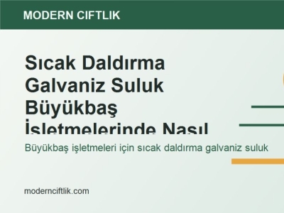 Sıcak Daldırma Galvaniz Suluk Büyükbaş İşletmelerinde Nasıl Kullanılır?