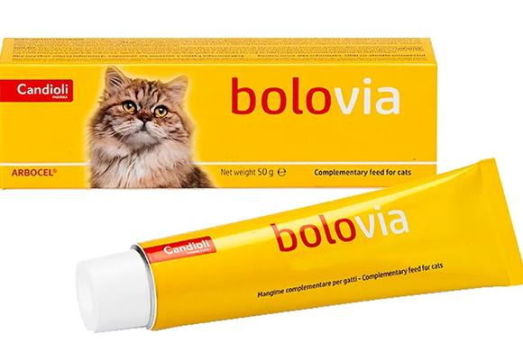 Kediler İçin Tüy Yumağı Önleyici Çözüm: Candioli Bolovia Kedi Pastası