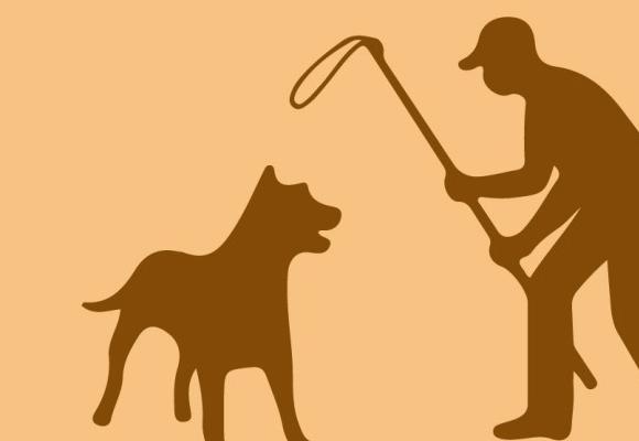 Teknik Şartname: 150 cm Köpek Yakalama Aparatı